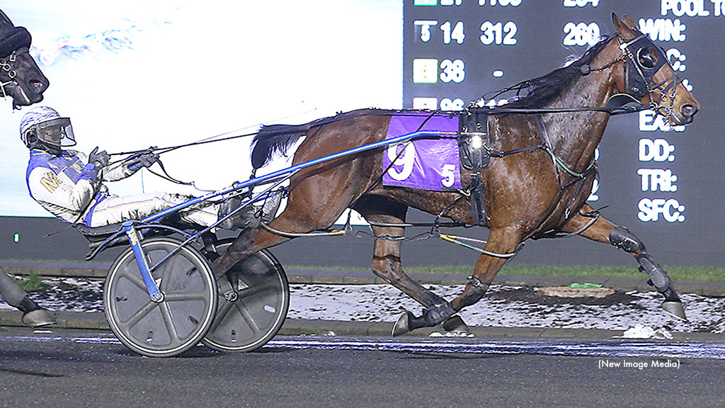 Pop Up Finale To Goldies Rockin