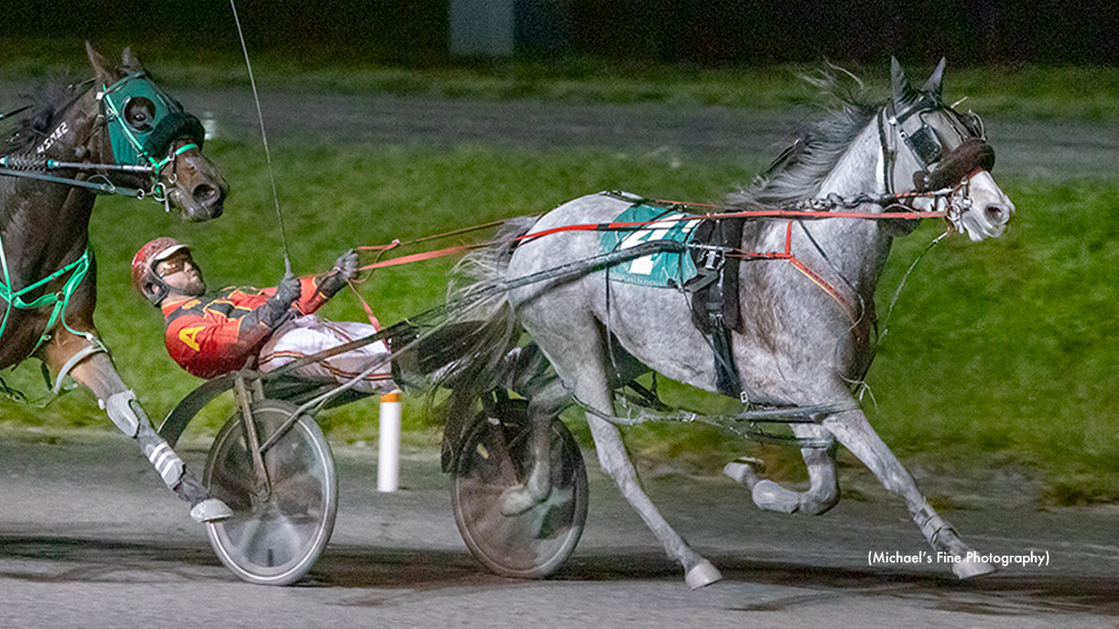 Grey Sea Captures Fraser Distaff Preferred Grey Sea Captures Fraser Distaff Preferred