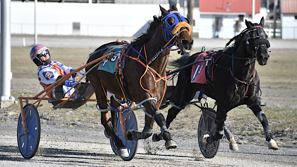 Lucan Hanover