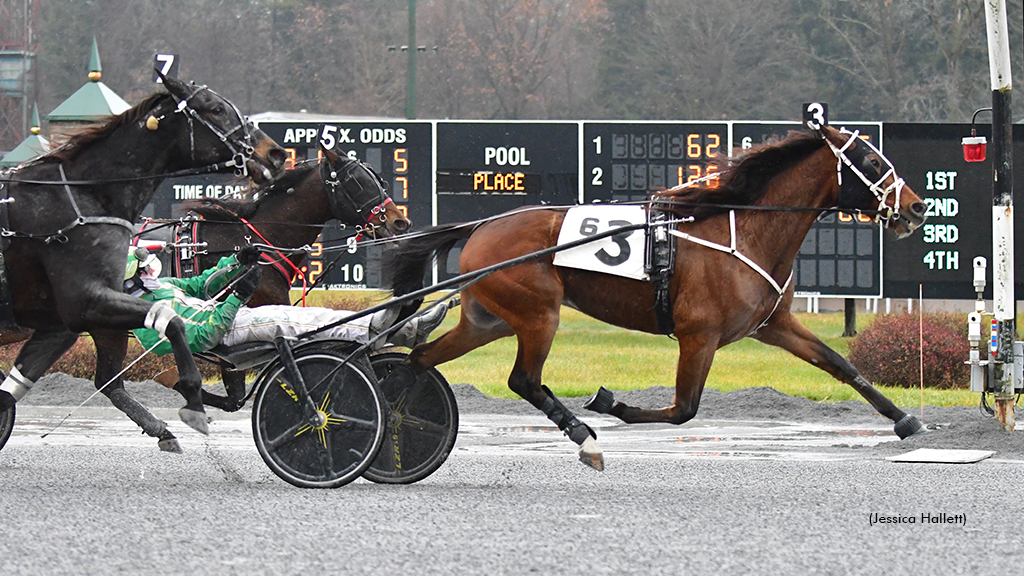 Malibu Kid Takes Saratoga Open Trot