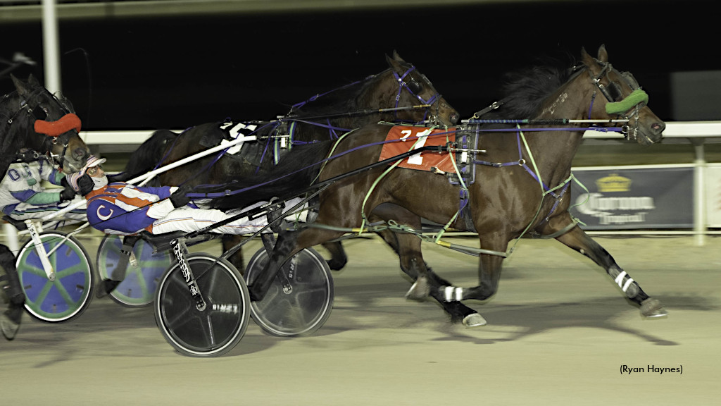 No Collusion, Hennessy Shine At Century Mile