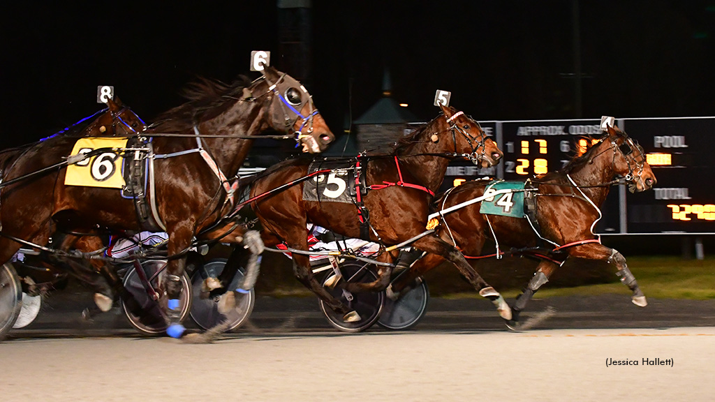 Primo Uomo Wins Saratoga Season's Final Open Pace