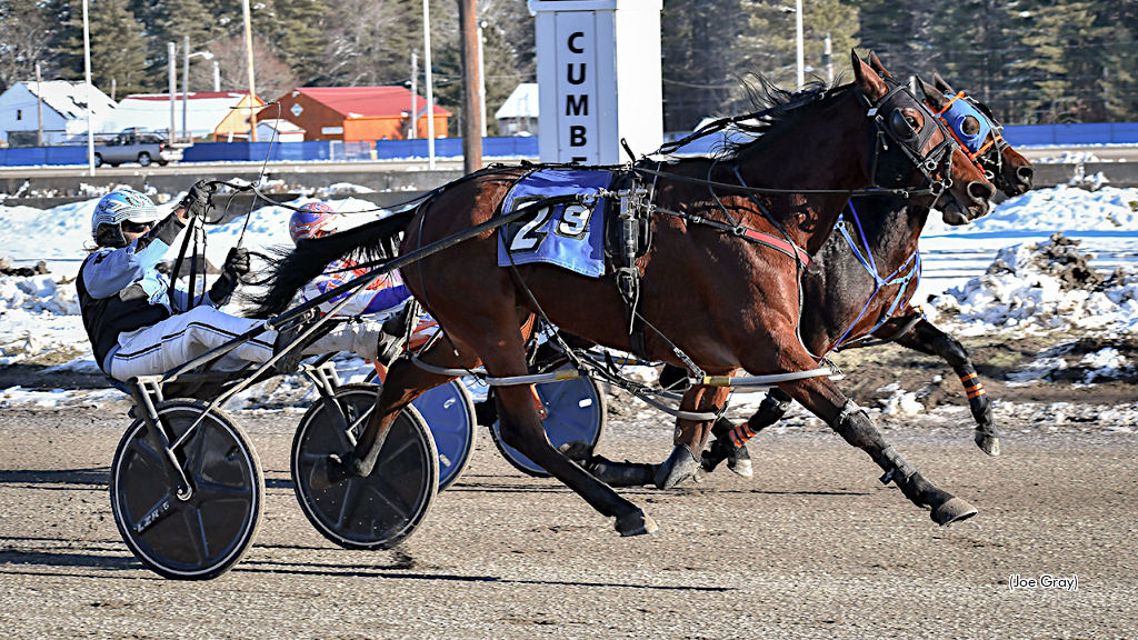 Switzer Takes Five At Cumberland Friday Switzer Takes Five At Cumberland Friday