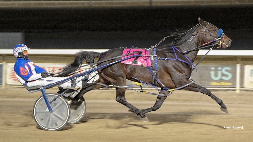 Shark Week Makes It 15 Straight At Century