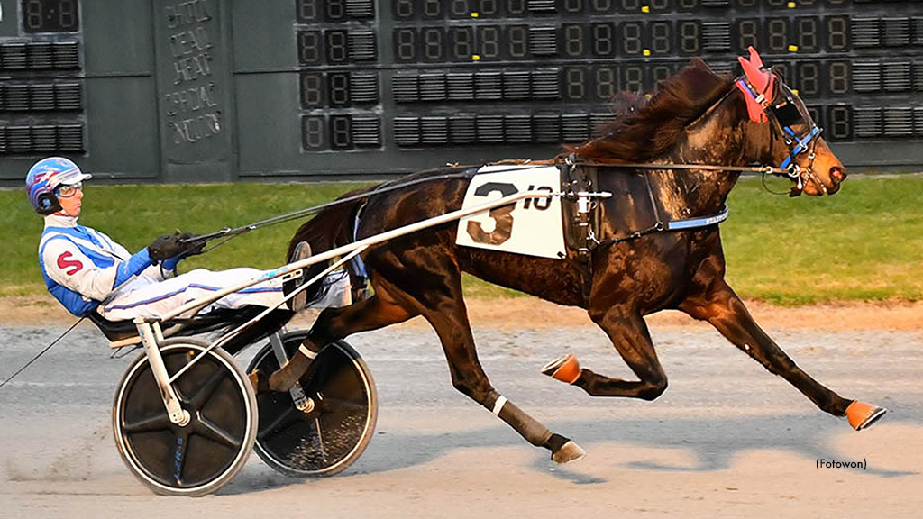 She Is Strong Rolls To Easy DSBF Prelim Score