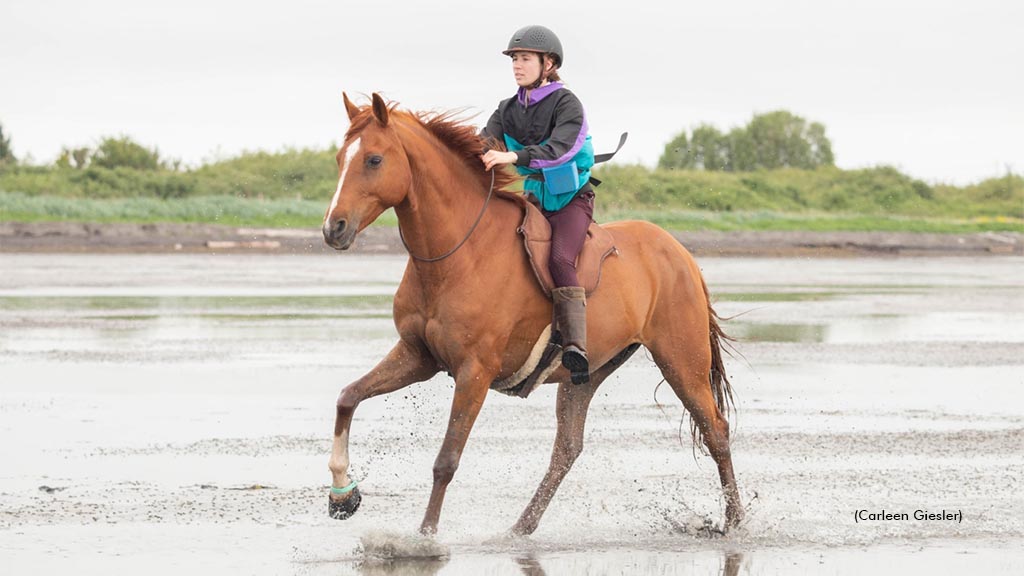 Equine Guelph Awards L’Heureux Scholarship Equine Guelph Awards L’Heureux Scholarship