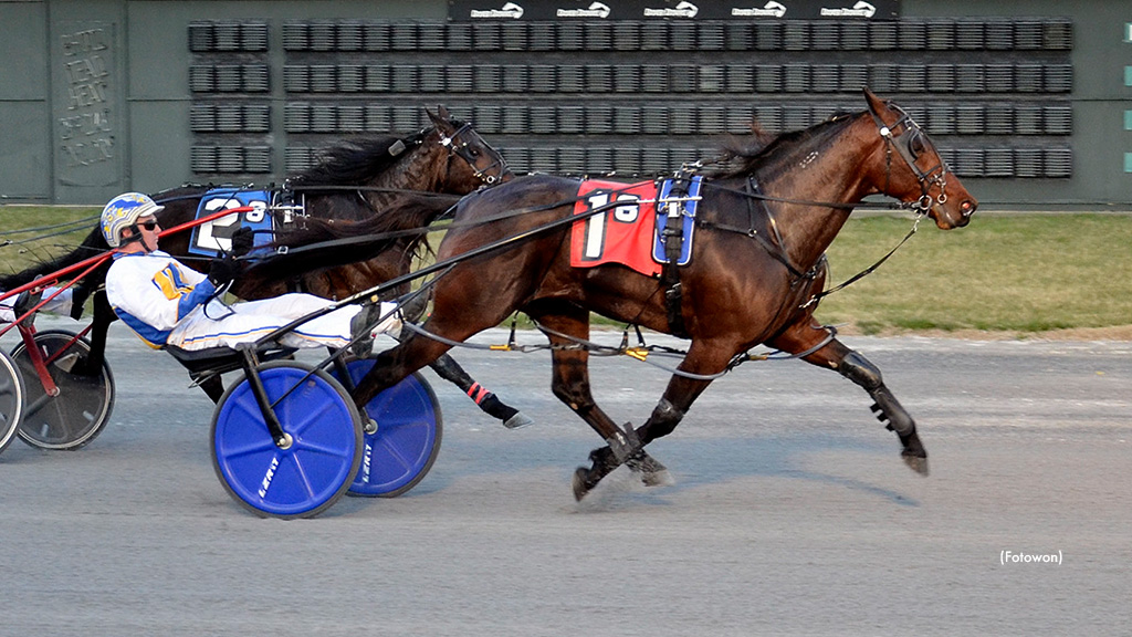 Slick Tony To Stand Stud In 2024