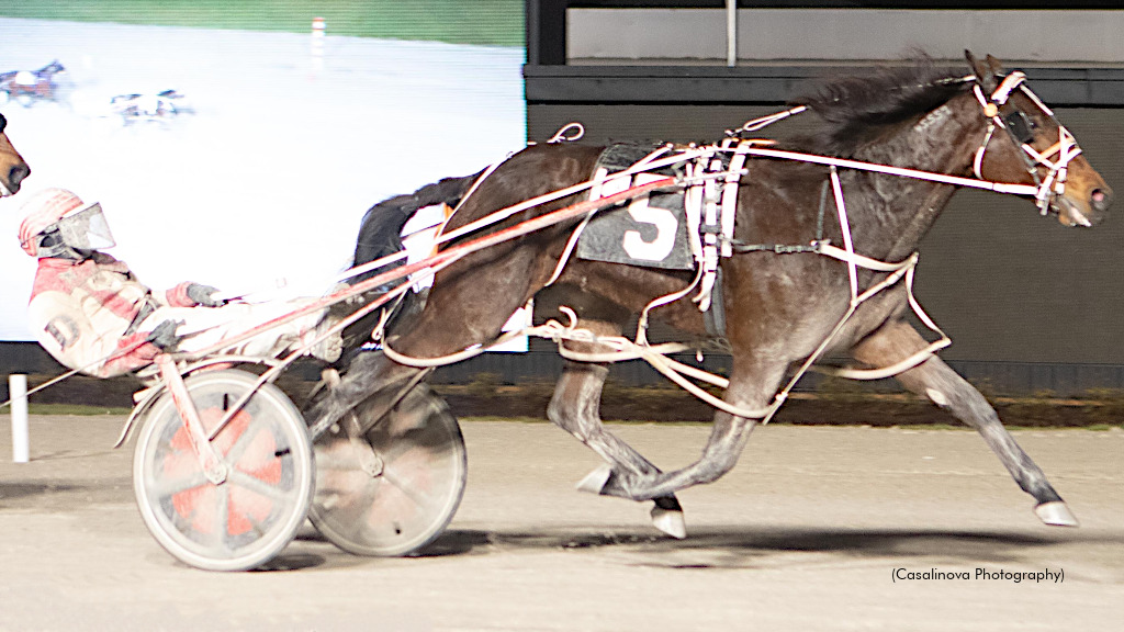  Smothastenesewisky Rebounds In Northfield Distaff
