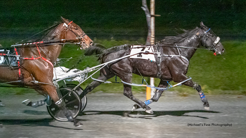 Sunshine Boy Wins Fifth Straight Preferred