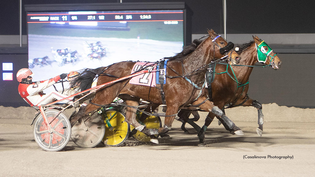 Treacherous Penny Defeats Northfield Open Mares