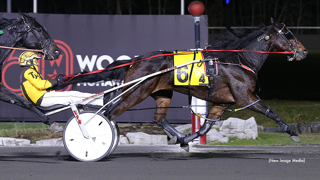 Truffles Too Headlines Mohawk Monday