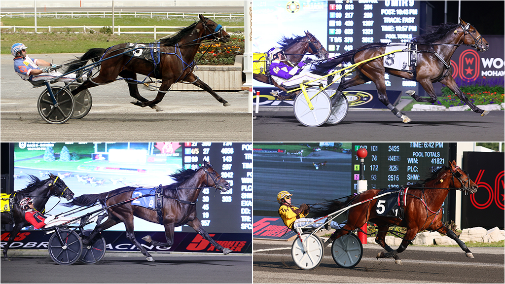Canada's 2023 Standardbred Leaders