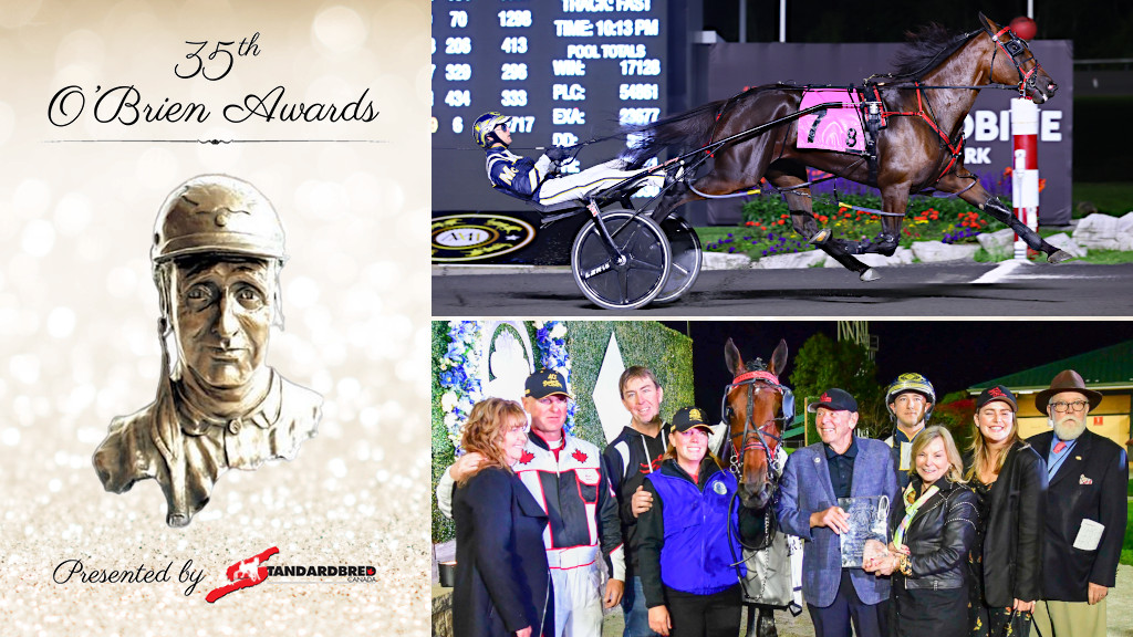 Sylvia Hanover A Sensational Sophomore