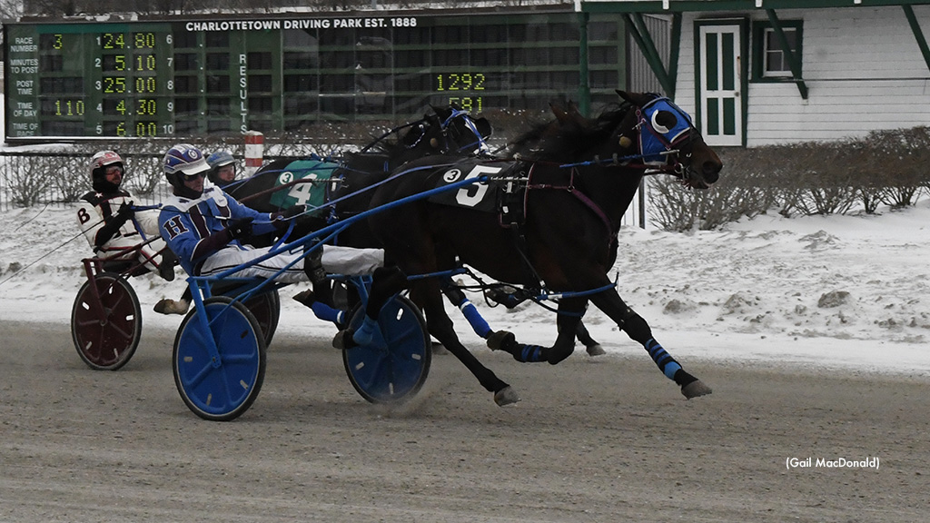 Acefortyfour Dome Repeats In Charlottetown Preferred