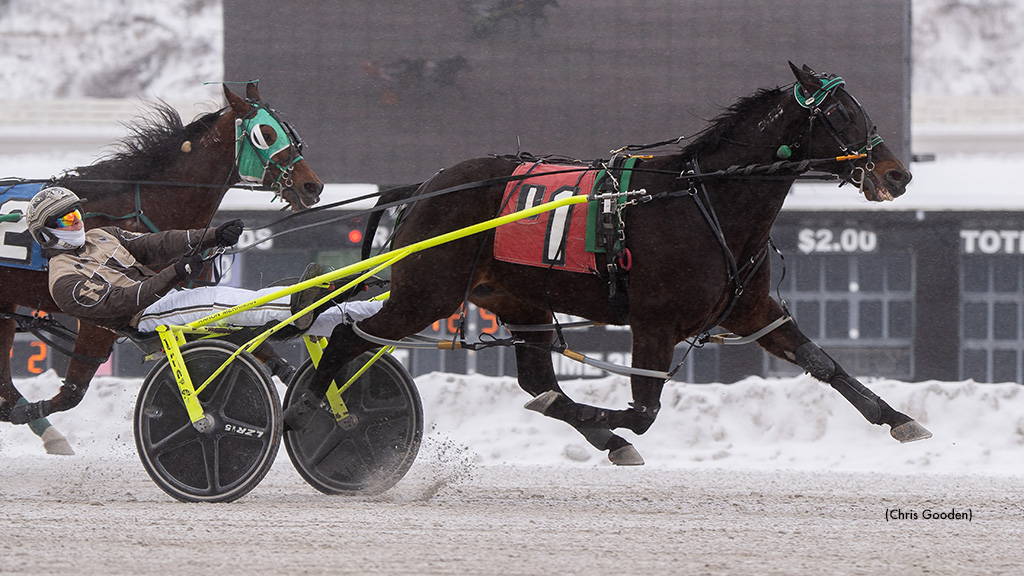 American Music Shocks In Meadows Open Pace