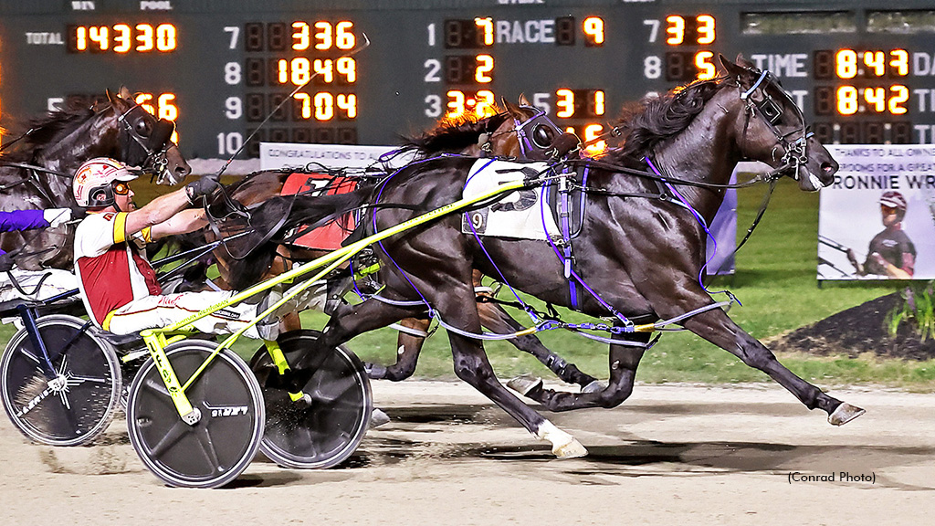 Clever Cody Named Ohio's Top Freshman Pacing Colt