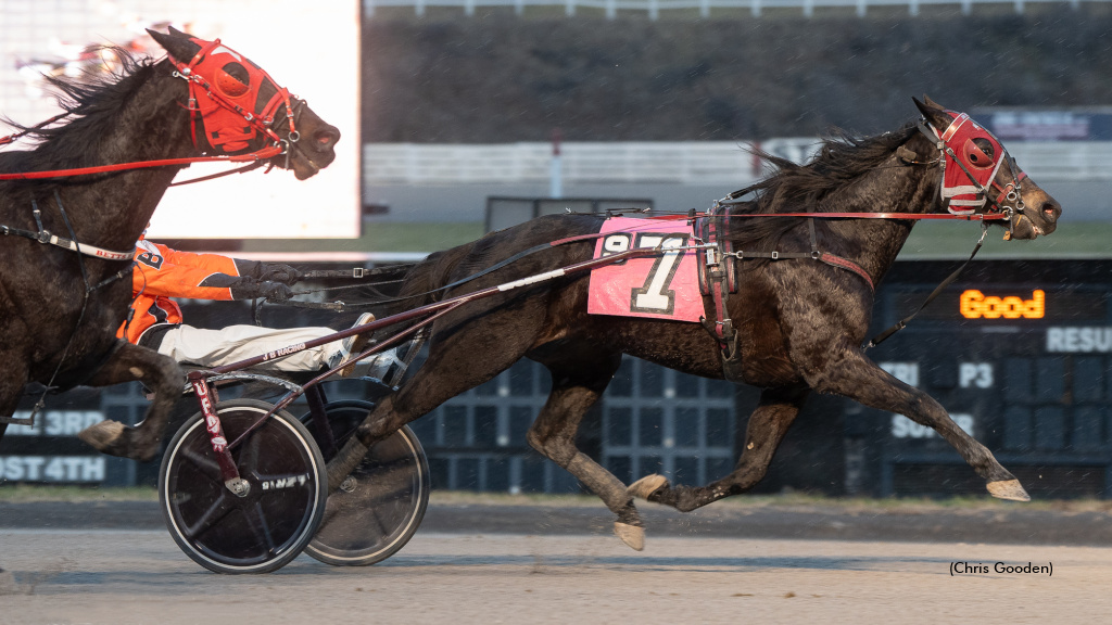 Credit Con Sails, Prevails In Meadows Top Trot