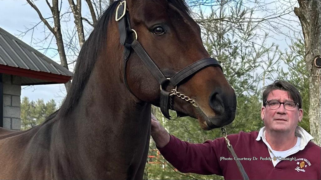 Early Voting Reaffirms Connection Between Breeds