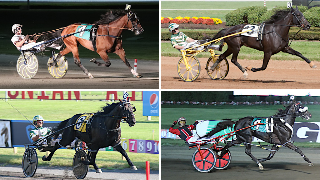 Four Added To U.S. Living Horse Hall Of Fame