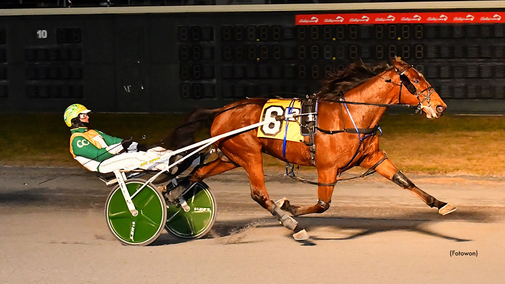 Muscle Dynasty Dominates Dover Open Trot