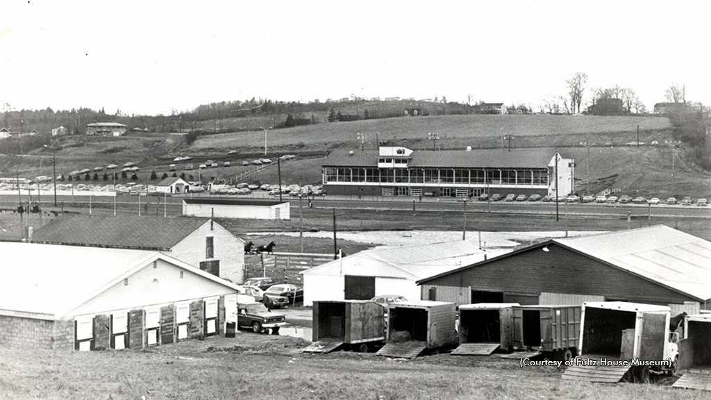 A Day To Remember Sackville Downs