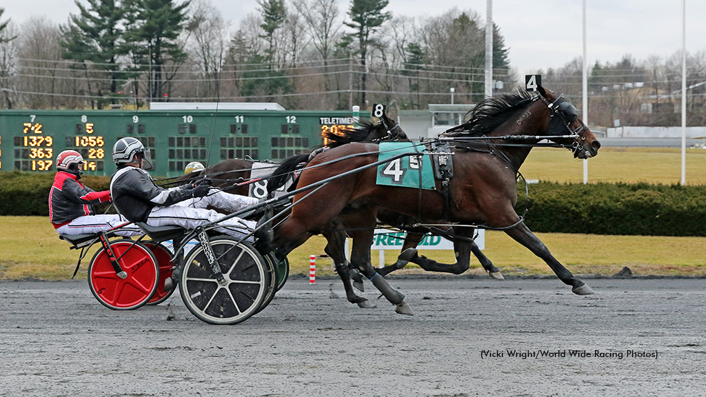 Hechkoff Takes Amateur Trot At Freehold