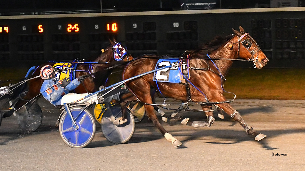 Sprocket Soars In Dover Open Pace