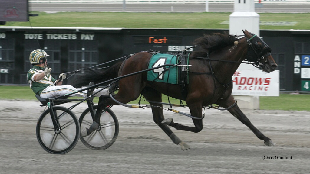 Sunfire Blue Chip, Dali On The Move