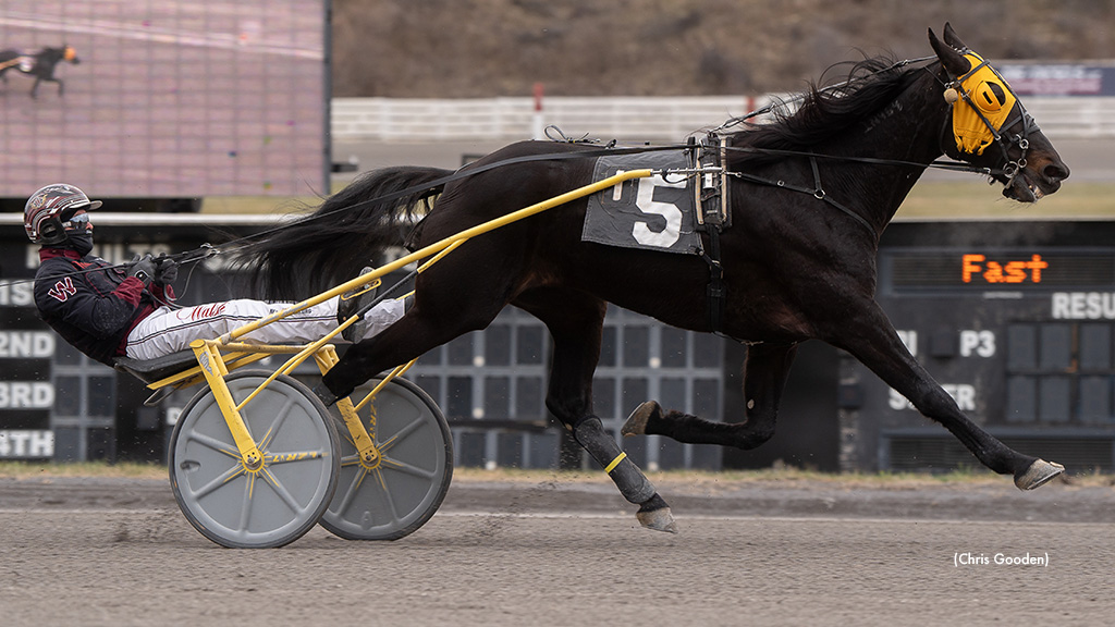 Tequila Talkin Takes Meadows Top Trot