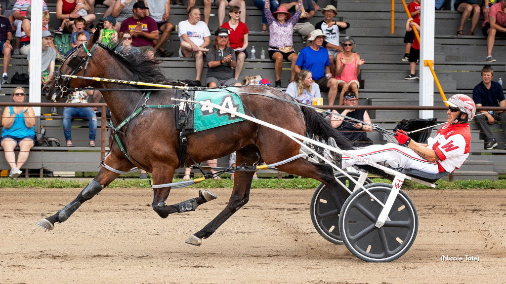 Minnesota Fair Circuit Award Winners Announced