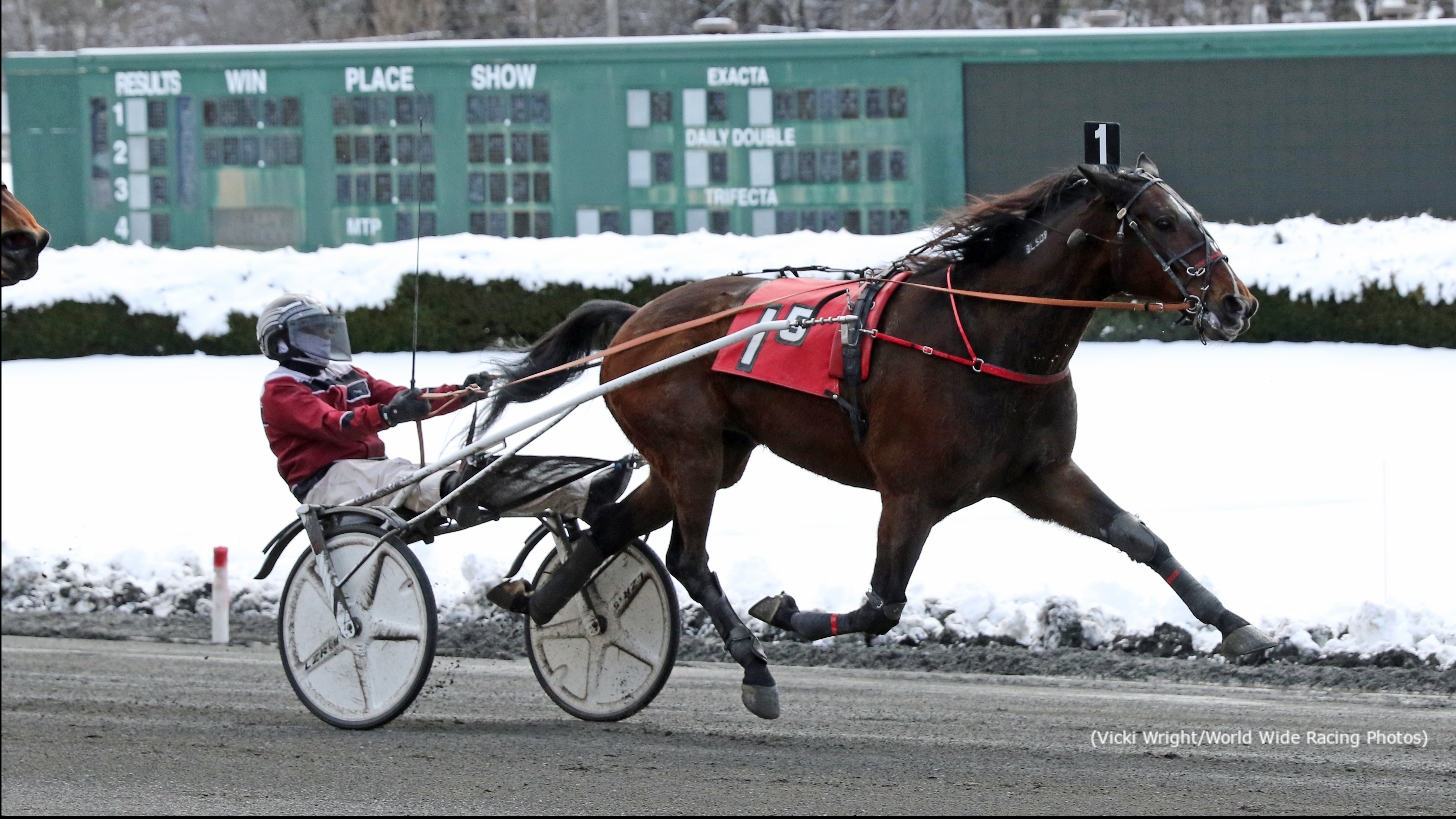 Beltrami Bags ADHC Trot