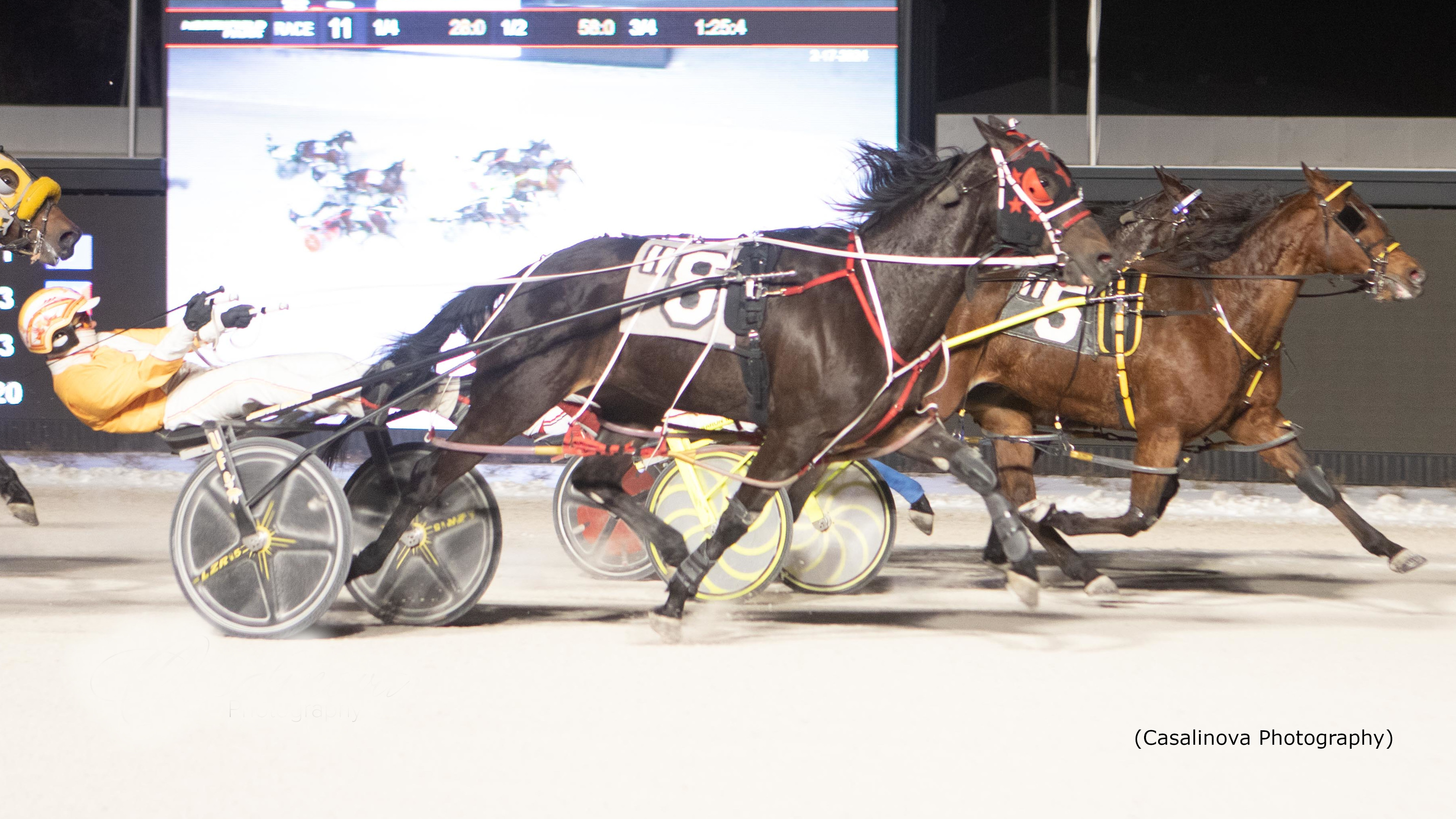 Always Gonna B You Wins Northfield Distaff Open