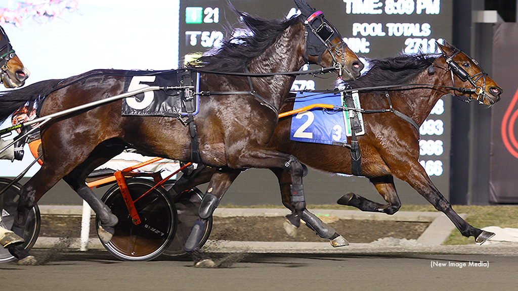 Amigo Volo Best In Philly Winners Over Trot