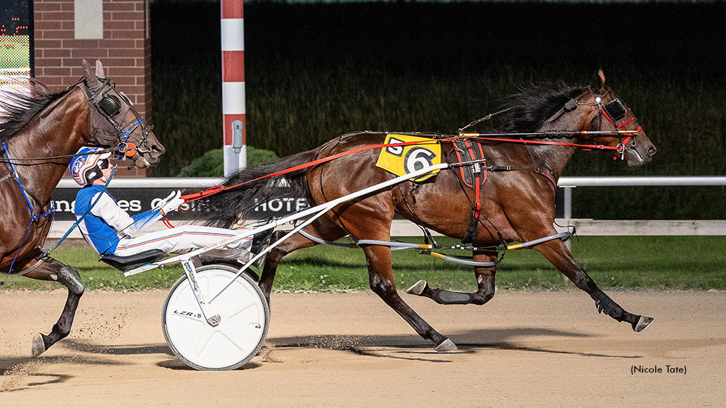 Apple Juice Voted 2023 Minnesota Horse Of The Year