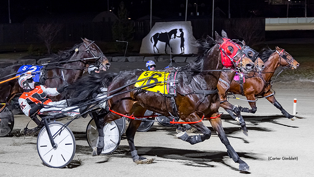 Arties Ideal Wires Western Fair Preferred