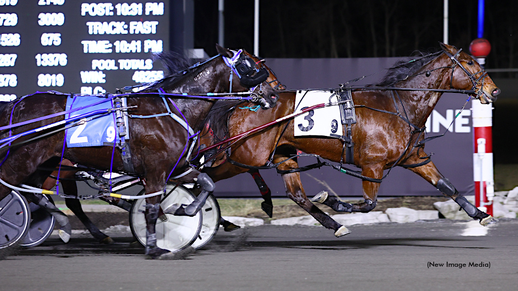 Codename Cigar Box Inherits Win In Preferred
