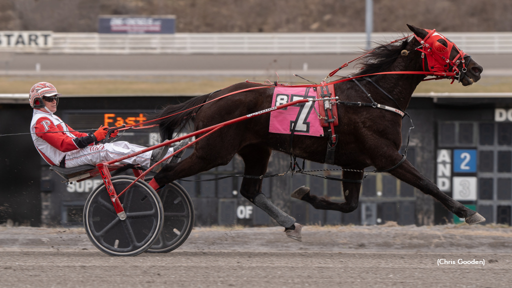 Emeralds Legacy Repeats In Meadows Top Trot