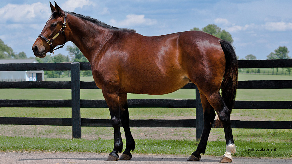 Graceful Touch Passes