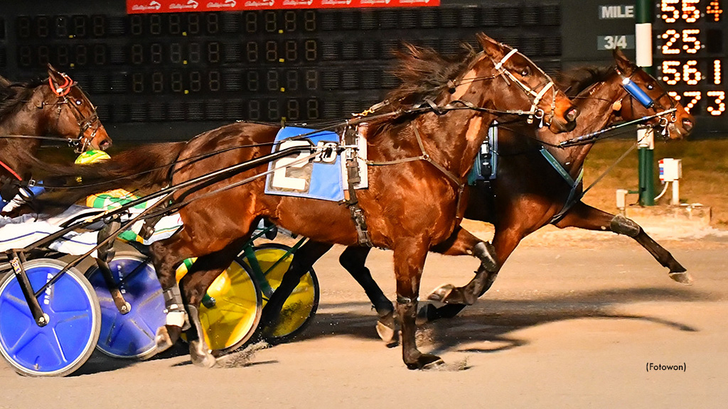 I Get It Pockets Dover Open Triumph