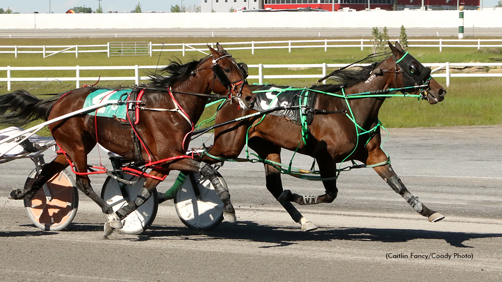 If Only Id Known Circles Century Mile Mares