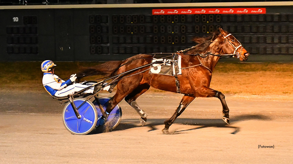 Northern Express Wins Dover Open Trot