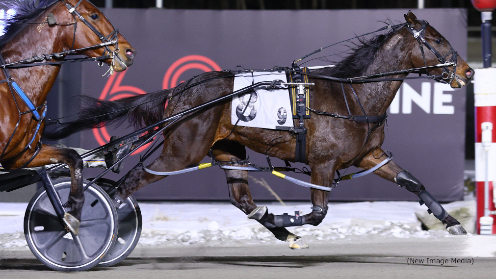 Powertrain, Dontpokethedragon, Moreau Shine At Mohawk
