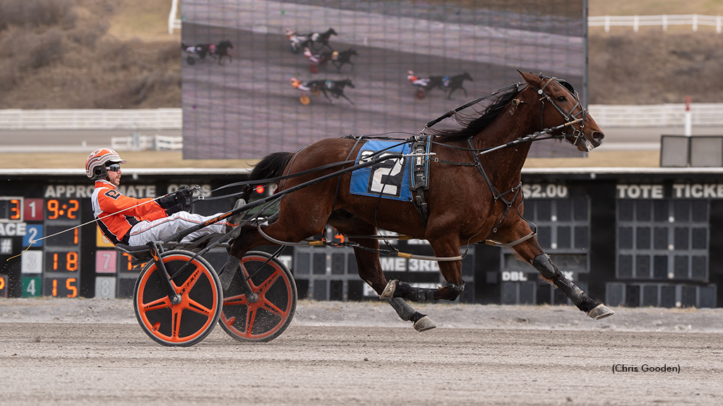 Meadows Wins For Redwhite N Goo, Sandbetweenmytoes