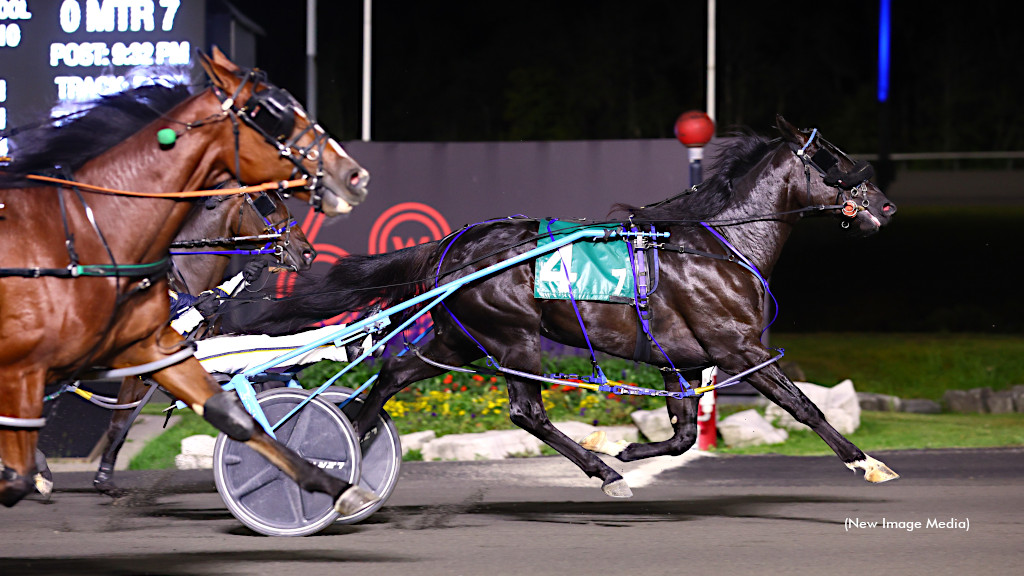 Changes In Store For 50th Ontario Sires Stakes Season