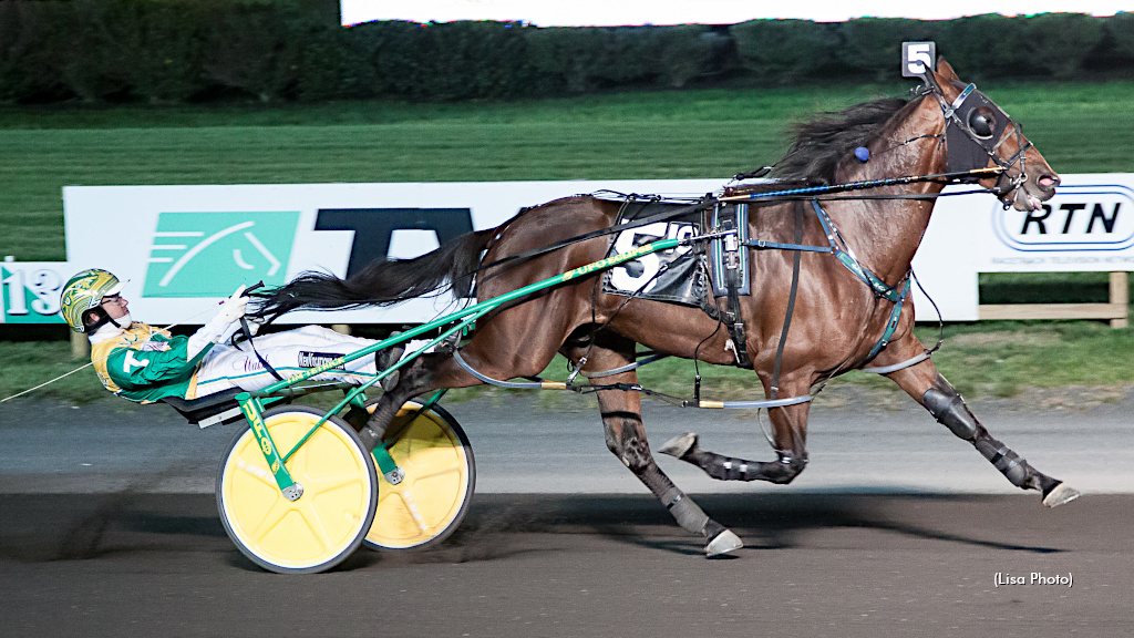 U S Captain Retired, To Stand Stud