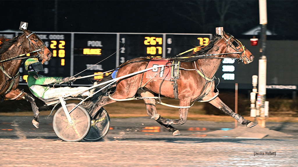 Ahi Sunshine Pockets Saratoga Open Pace