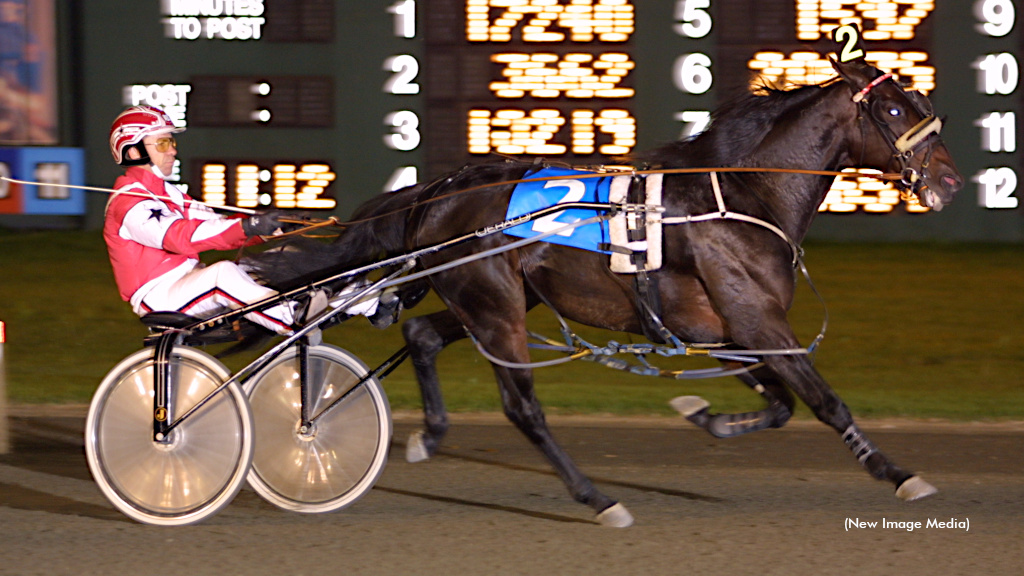 Bettors Delight To Leave North America