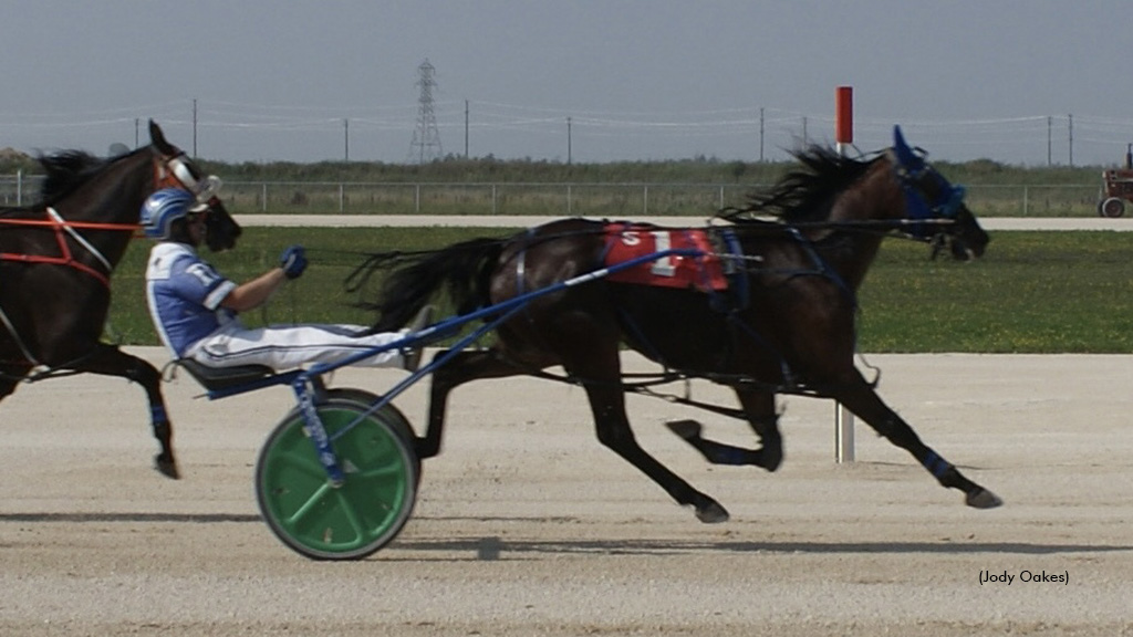 Manitoba's 2023 Award Winners Honoured