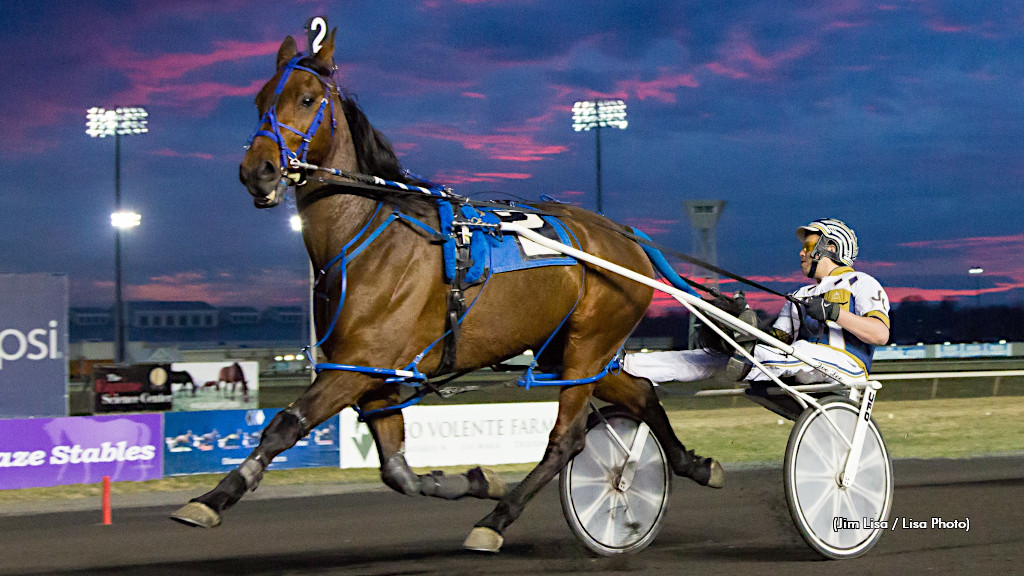 Meadowlands Amateur Driving Club Elects Executive