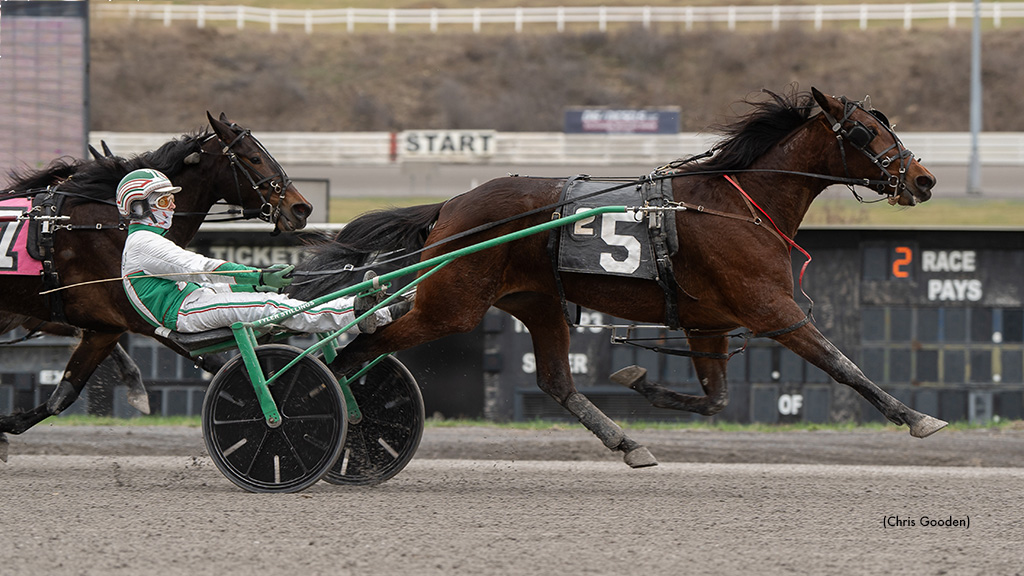 Trot Series Action Headlines Meadows Thursday